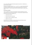 Novela zákona o pyrotechnických výrobcích 1