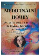 Medicinální houby 1